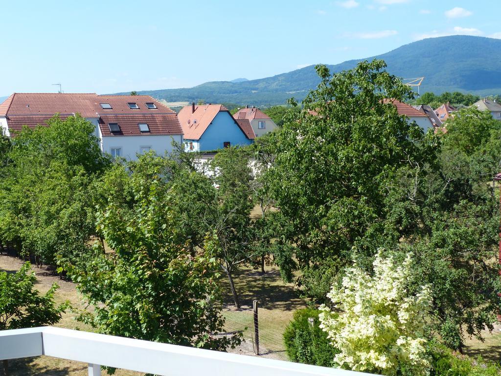 Locations Appartamento Obernai