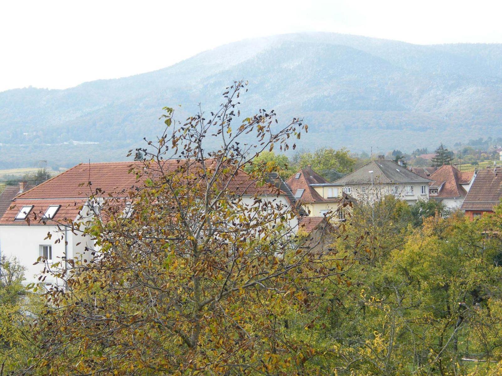 Locations Obernai