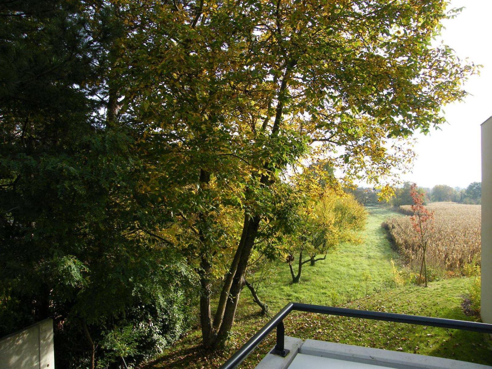 Locations Obernai