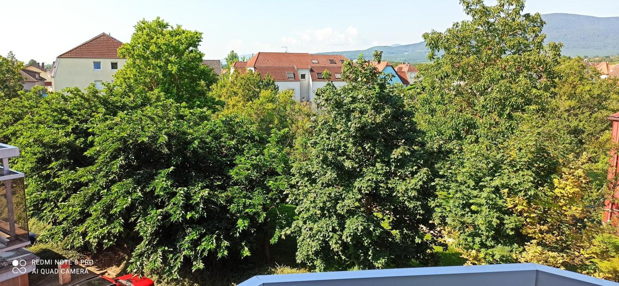 Locations Vacances Apartment Obernai